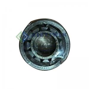 Carrier 06N series bearing