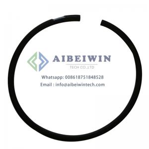 Carrier Piston 06EA660110