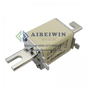 Fuse 170M5806 315A 690V Din 2 AR Fuse 170M5806 315A 690V Din 2 AR